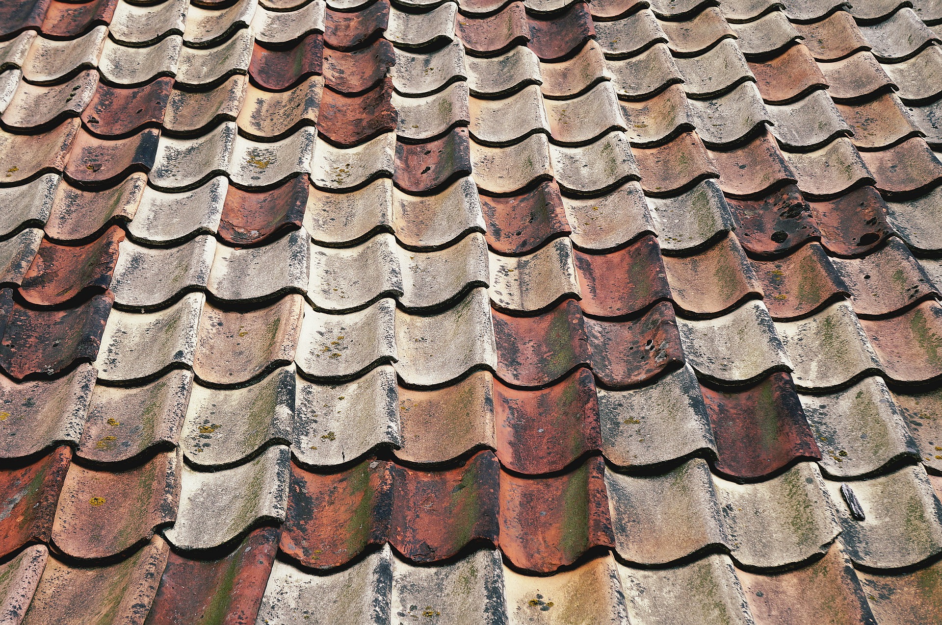 roof maintenance 