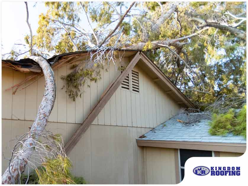 Ways Trees Can Damage Your Roof And Home