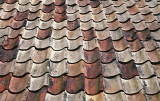 Read more about the article Question for the Experts: Do I Need to Wash My Roof?