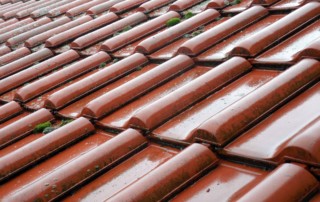 Read more about the article How Do Small Roof Leaks Affect Your Home?